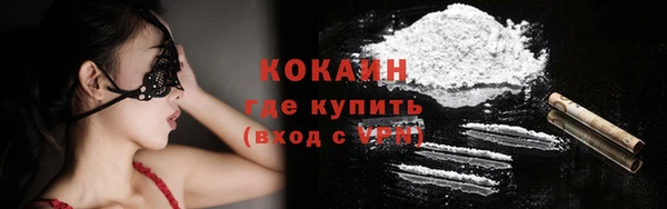 крисы Михайловск