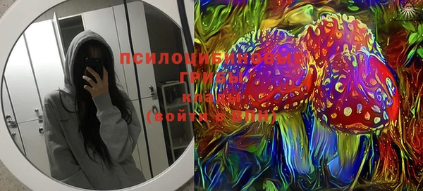 крисы Михайловск