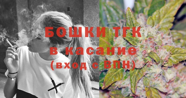 мдпв Болотное