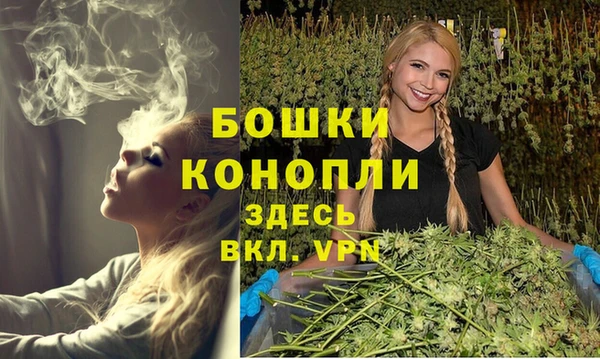крисы Михайловск