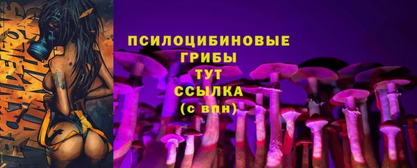 крисы Михайловск